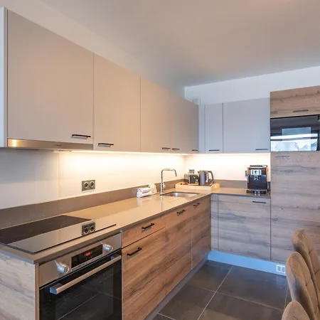 10 Pers Avec Wifi, Animaux Acceptes, Garage A L'alpe D'huez - Fr-1-645-91 *